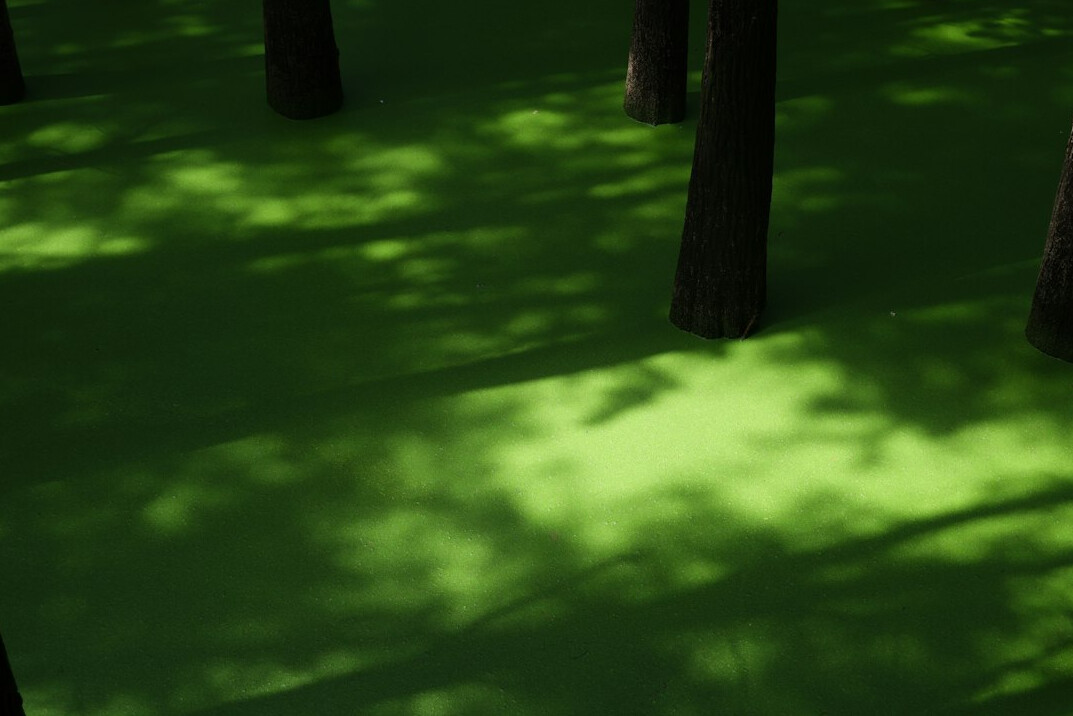 nature conservation