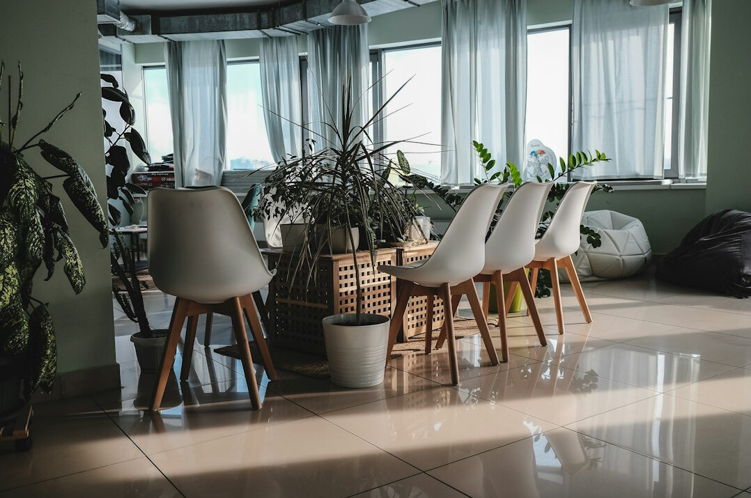 eco friendly office with plants