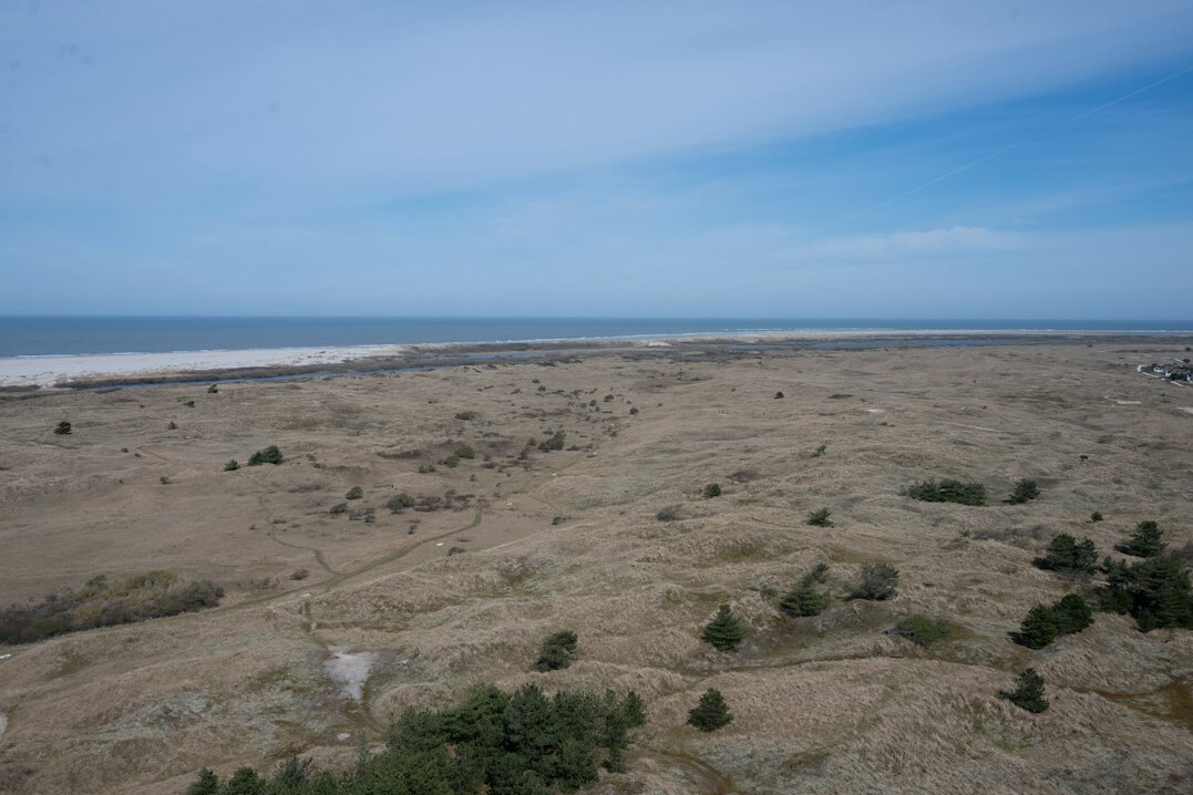 Construction equipment and cleared land next to a protected coastal dune area