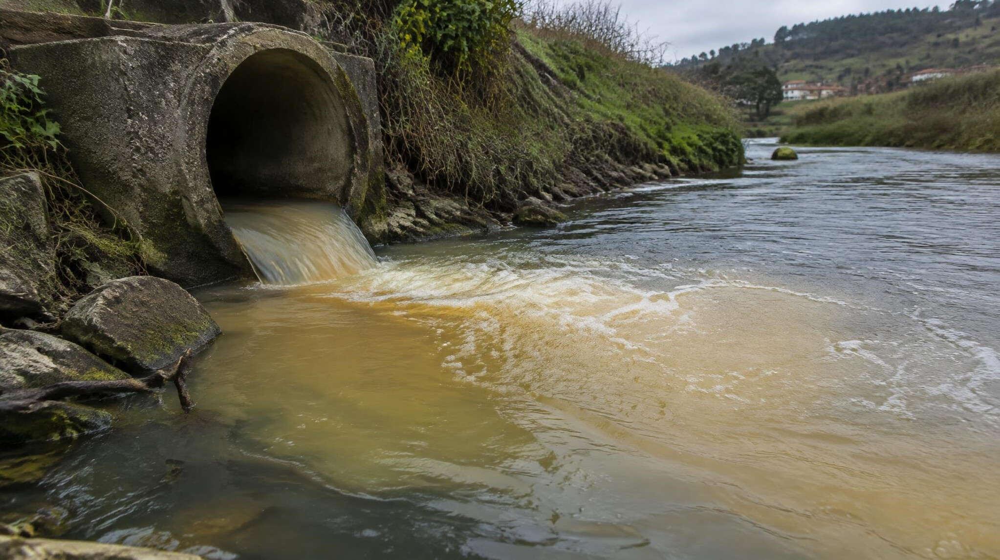 Close-up of river water with visible discoloration near an outflow pipe